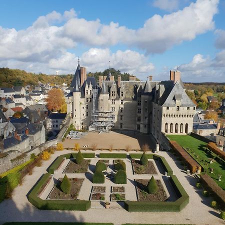 Domaine De Bourgville Monts-sur-Guesnes Esterno foto
