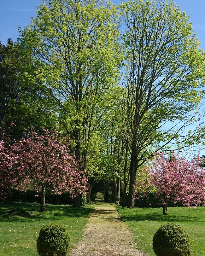 Domaine De Bourgville Monts-sur-Guesnes Esterno foto