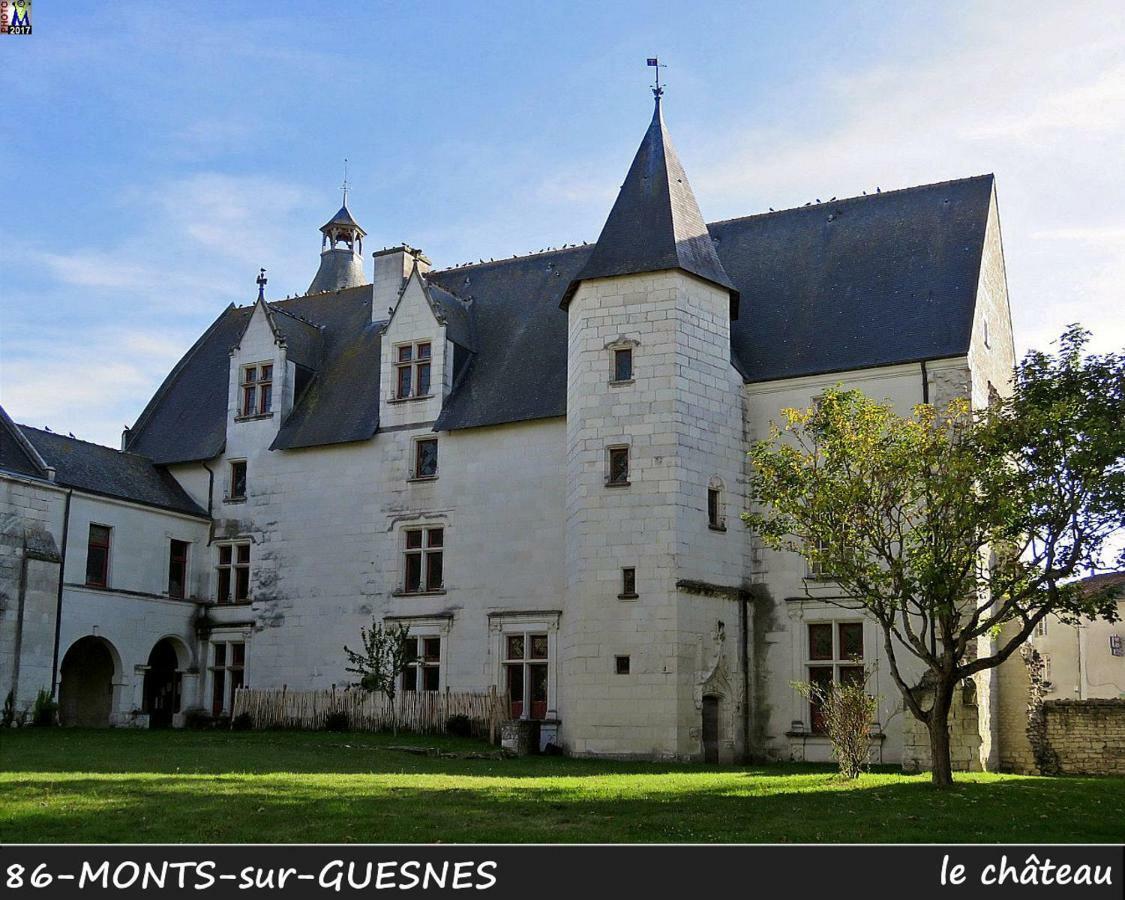 Domaine De Bourgville Monts-sur-Guesnes Esterno foto
